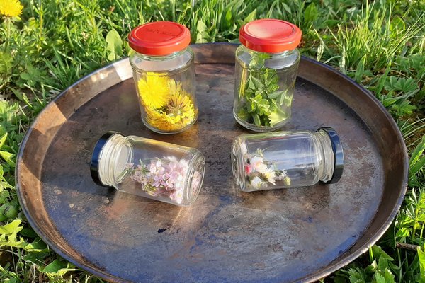 Gläser mit Naturmaterialien wie Gras und Blumen