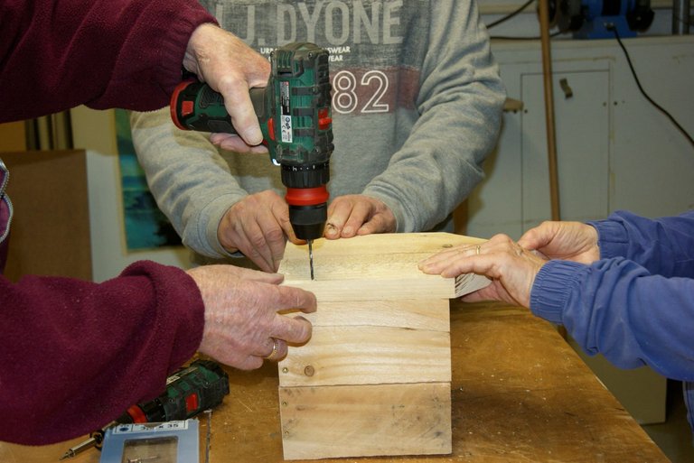 Viele Hände bauen am Vogelhäuschen aus Holz.